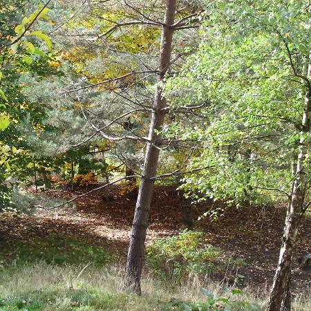 Pomnenka * Jáchymov