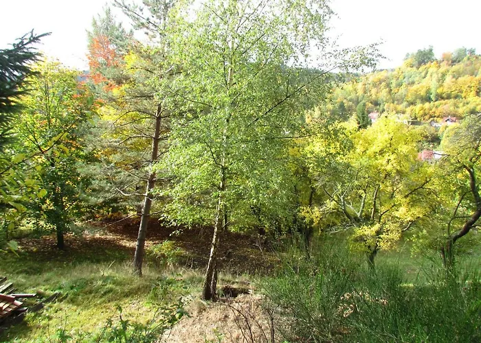 Pomnenka Дом отдыха